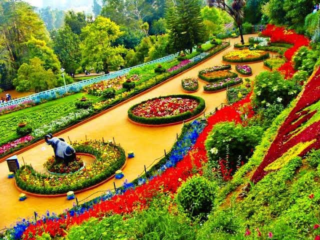 Ooty Botanical Garden
